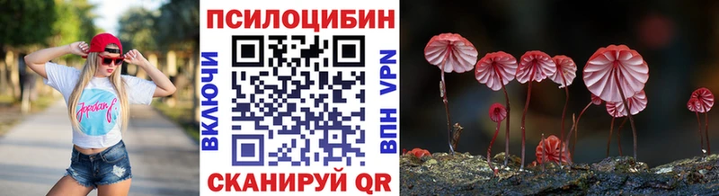 Псилоцибиновые грибы мицелий  Хасавюрт 