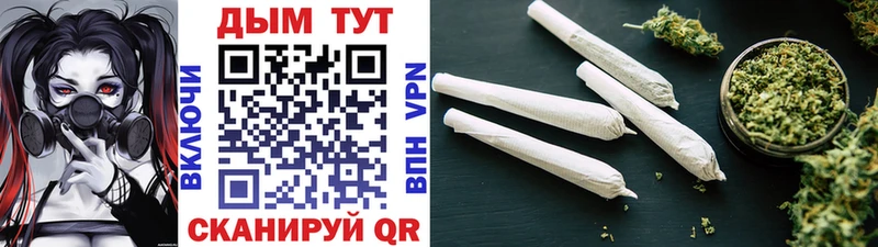 Шишки марихуана OG Kush  где найти   площадка какой сайт  Хасавюрт 